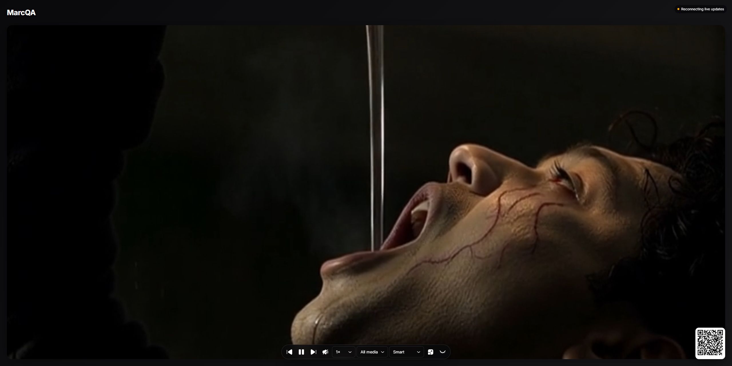 The Pro Slideshow player with navigation, audio, speed, filtering, layout, and fullscreen controls